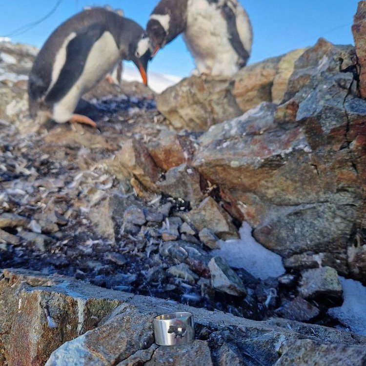 Срібна каблучка "Моя Україна" 112211 від ювелірного магазину Онікс - 23