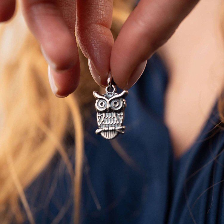 Серебряная подвеска "Сова" (чернение) 131963 от ювелирного магазина Оникс - 1