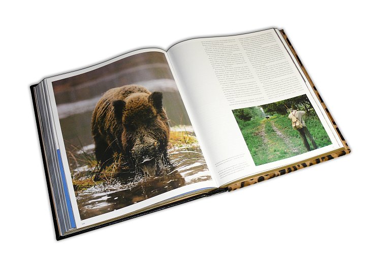 БЛЮХЕЛЬ К. ОХОТА (LUCE LEOPARDO) ОЦИ1411 от ювелирного магазина Оникс - 4