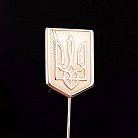 Шпилька Герб України "Тризуб" зак00036 от ювелирного магазина Оникс - 2