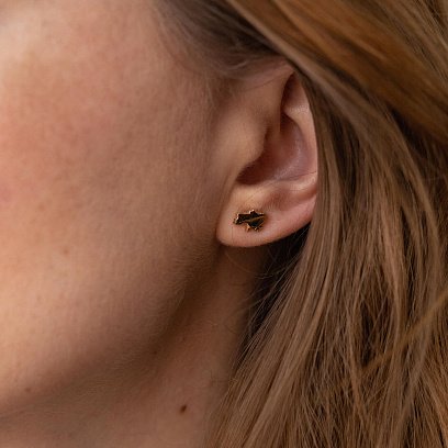 Сережки - пусети "Карта України" у жовтому золоті с07976 №6