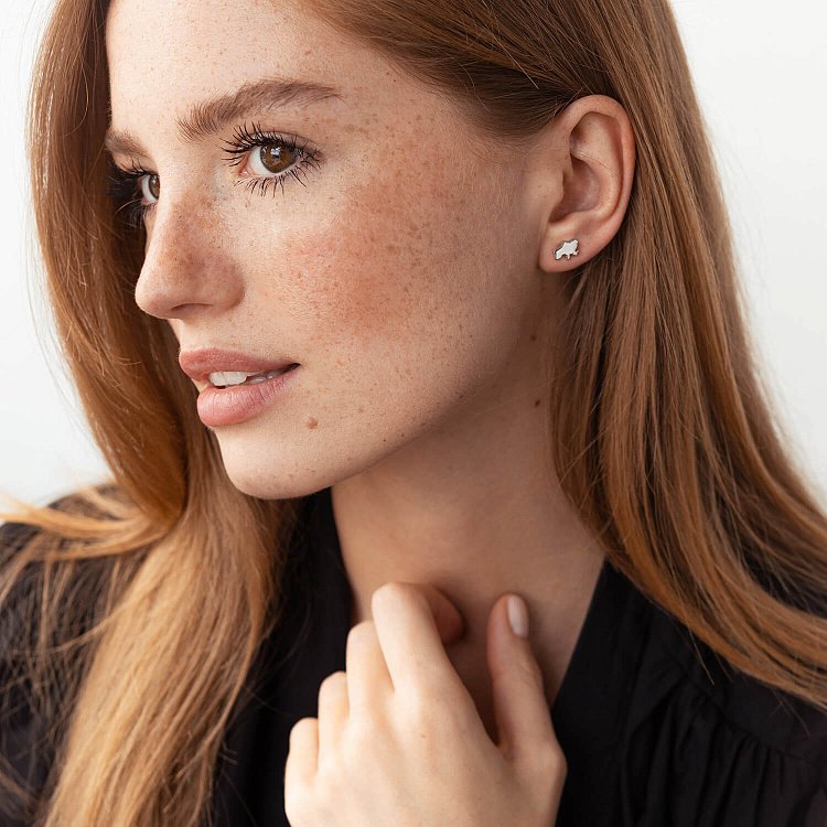 Серьги - пусеты "Карта Украины" в белом золоте с08012 от ювелирного магазина Оникс - 3