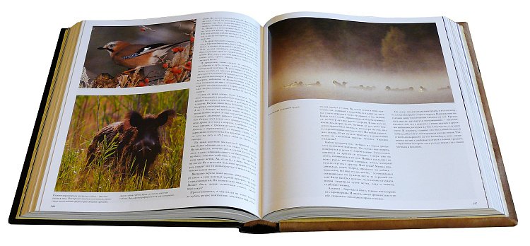 Курт Г. Блюхель "ПОЛЮВАННЯ" (pony biondo) ОЦИ141715 від ювелірного магазину Онікс - 2