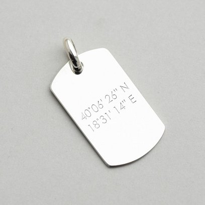 Серебряный жетон (большой) 133350 №10