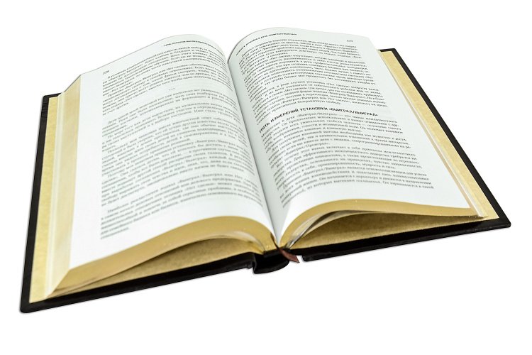 ЛИДЕРСТВО, ОСНОВАННОЕ НА ПРИНЦИПАХ ПБВ11141518 от ювелирного магазина Оникс - 2