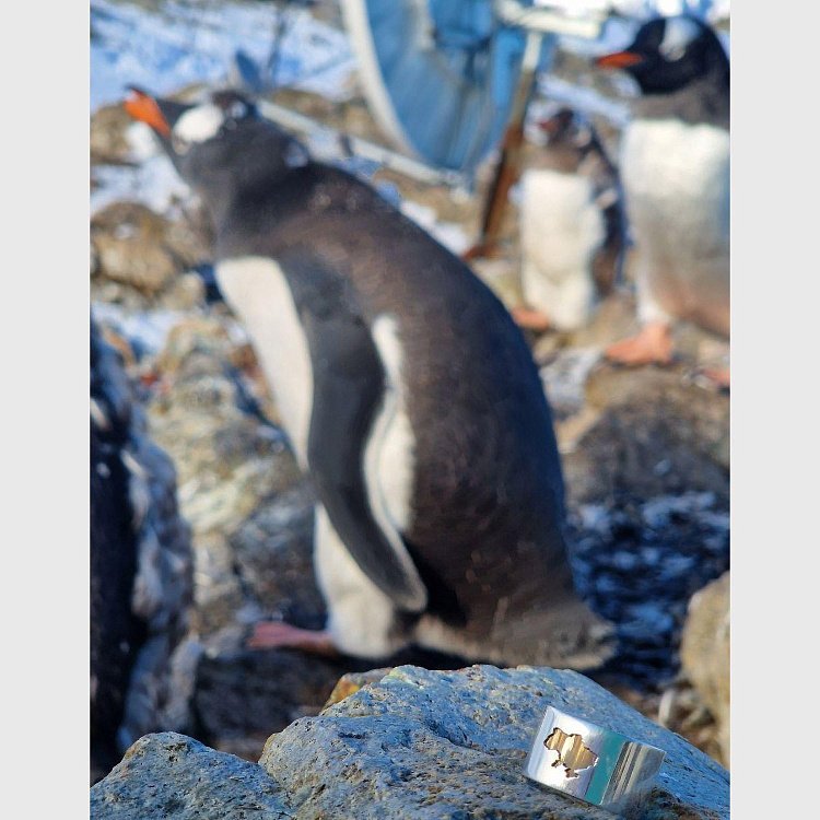 Срібна каблучка "Моя Україна" 112211 від ювелірного магазину Онікс - 25