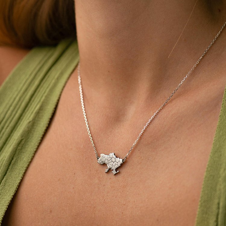 Серебряное колье "Карта Украины" 181268 от ювелирного магазина Оникс - 2