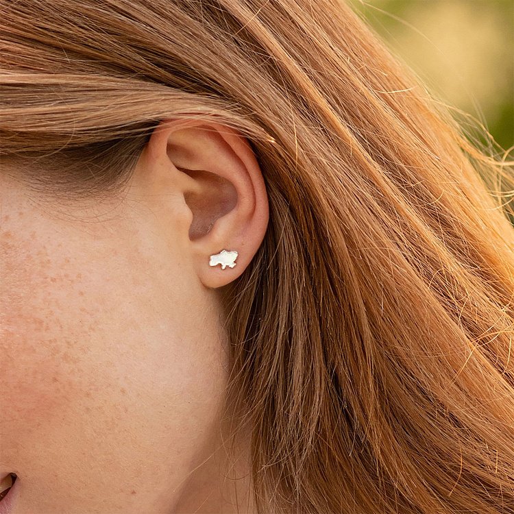 Сережки - пусети "Карта України" у білому золоті с08012 від ювелірного магазину Онікс - 6