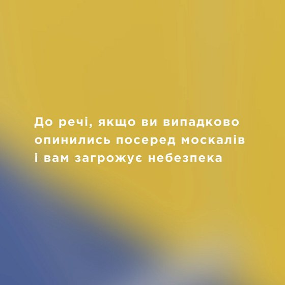 Серебряное колье "Бандерівка" 181219 №3