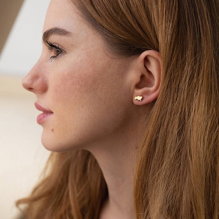 Серьги - пусеты "Карта Украины" в желтом золоте с07976 от ювелирного магазина Оникс - 1