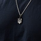 Срібний кулон "Герб України - Тризуб" з ебеновим деревом 959 от ювелирного магазина Оникс - 10