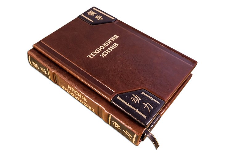 ТЕХНОЛОГІЯ ЖИТТЯ (ROBBAT COGNAC) ПБВ279 від ювелірного магазину Онікс - 2