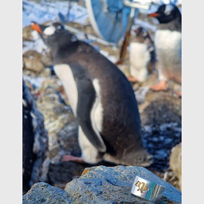 Серебряное кольцо "Моя Украина" 112211 №20