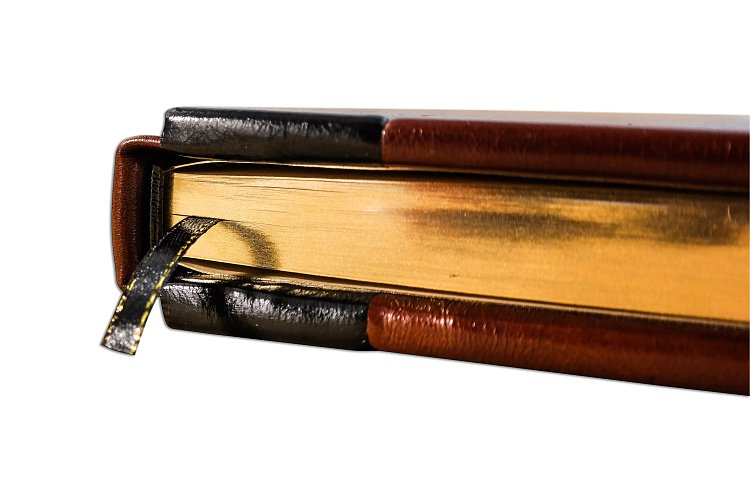 ТЕХНОЛОГІЯ ЖИТТЯ (ROBBAT COGNAC) ПБВ279 від ювелірного магазину Онікс - 3